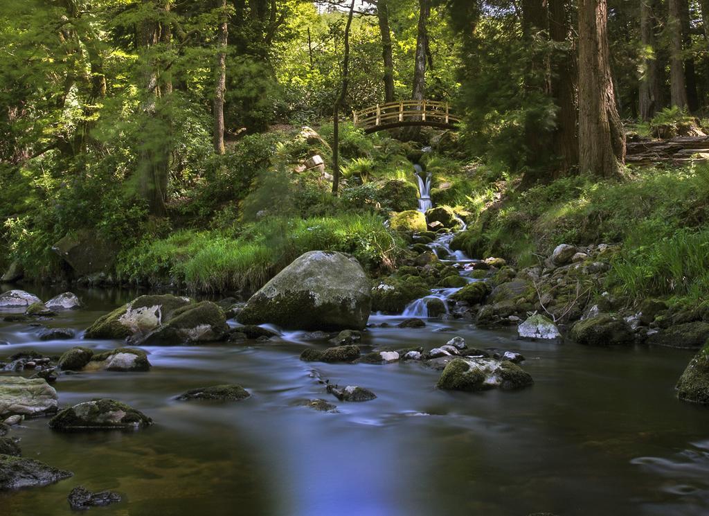 Ballyteige Lodge Ballyteige Bridge Kültér fotó