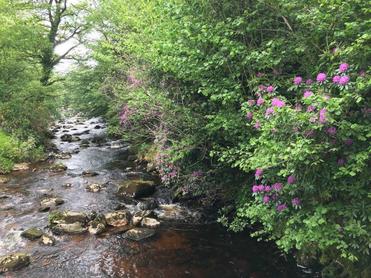 Ballyteige Lodge Ballyteige Bridge Kültér fotó